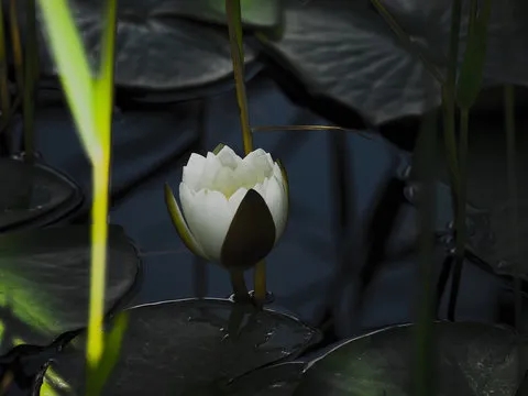 历史记录与检索